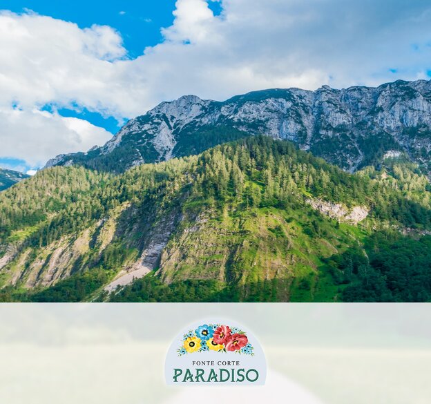 san benedetto, brand, acque regionali, fonte corte paradiso