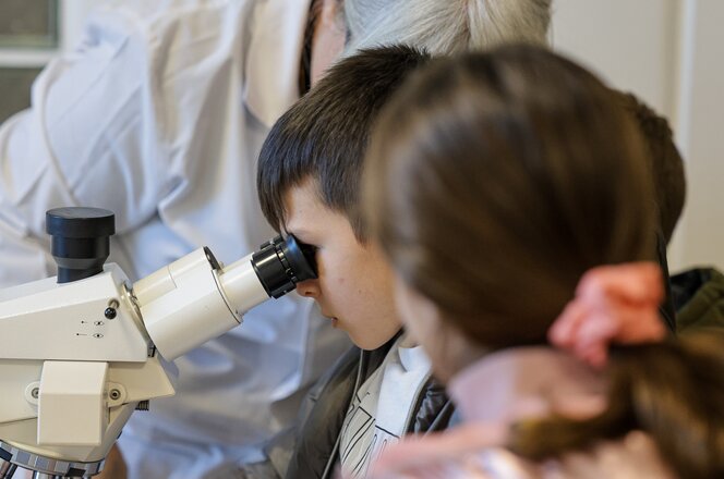 Progetto Genitorialità