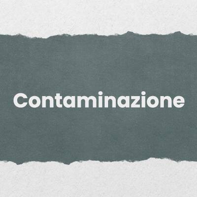 San Benedetto - Percorso Mentoring - Contaminazione