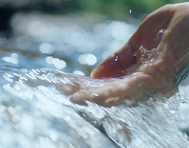 San Benedetto, NETWORK fonti